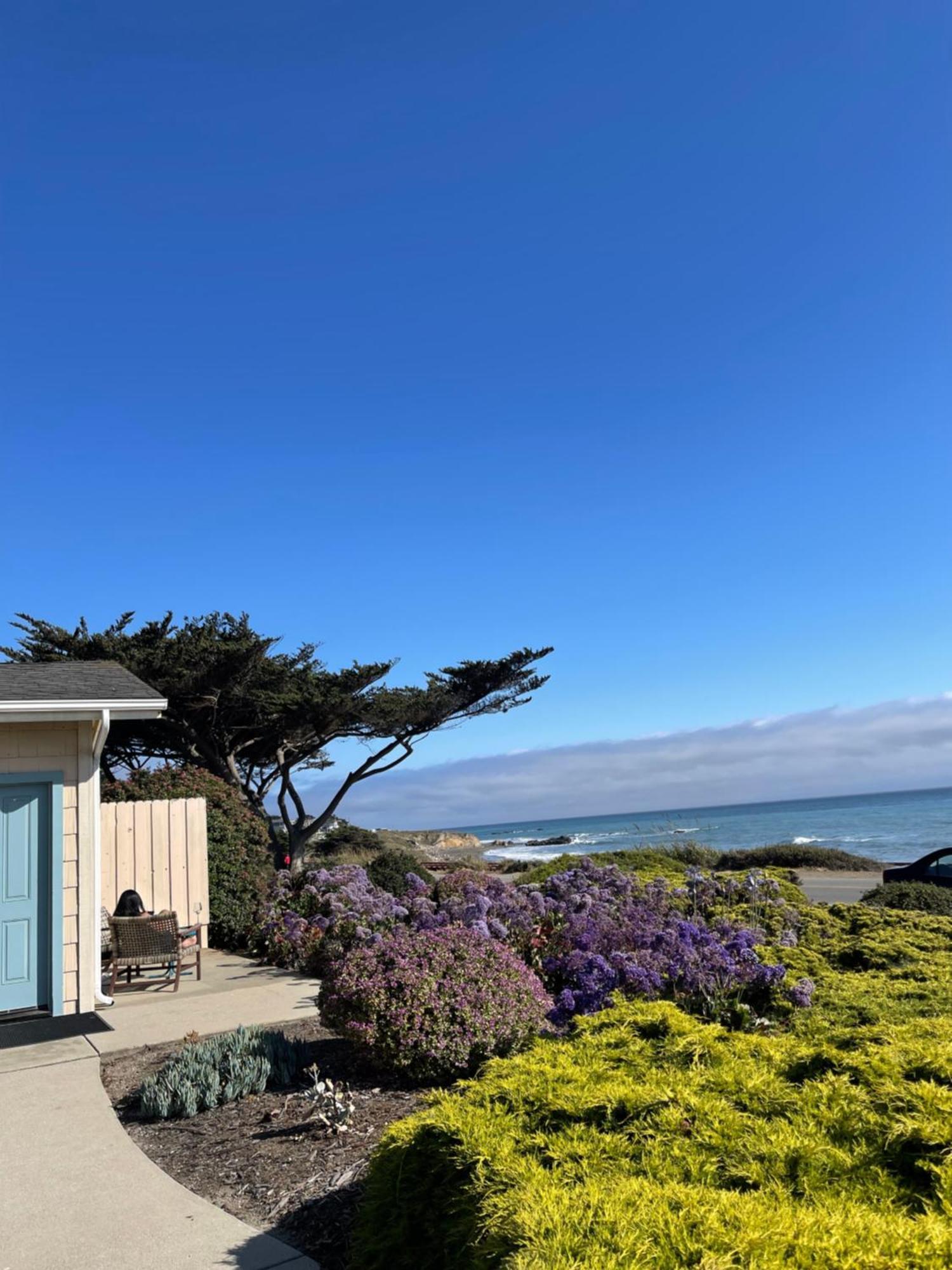 Cambria Landing Inn And Suites Exteriör bild